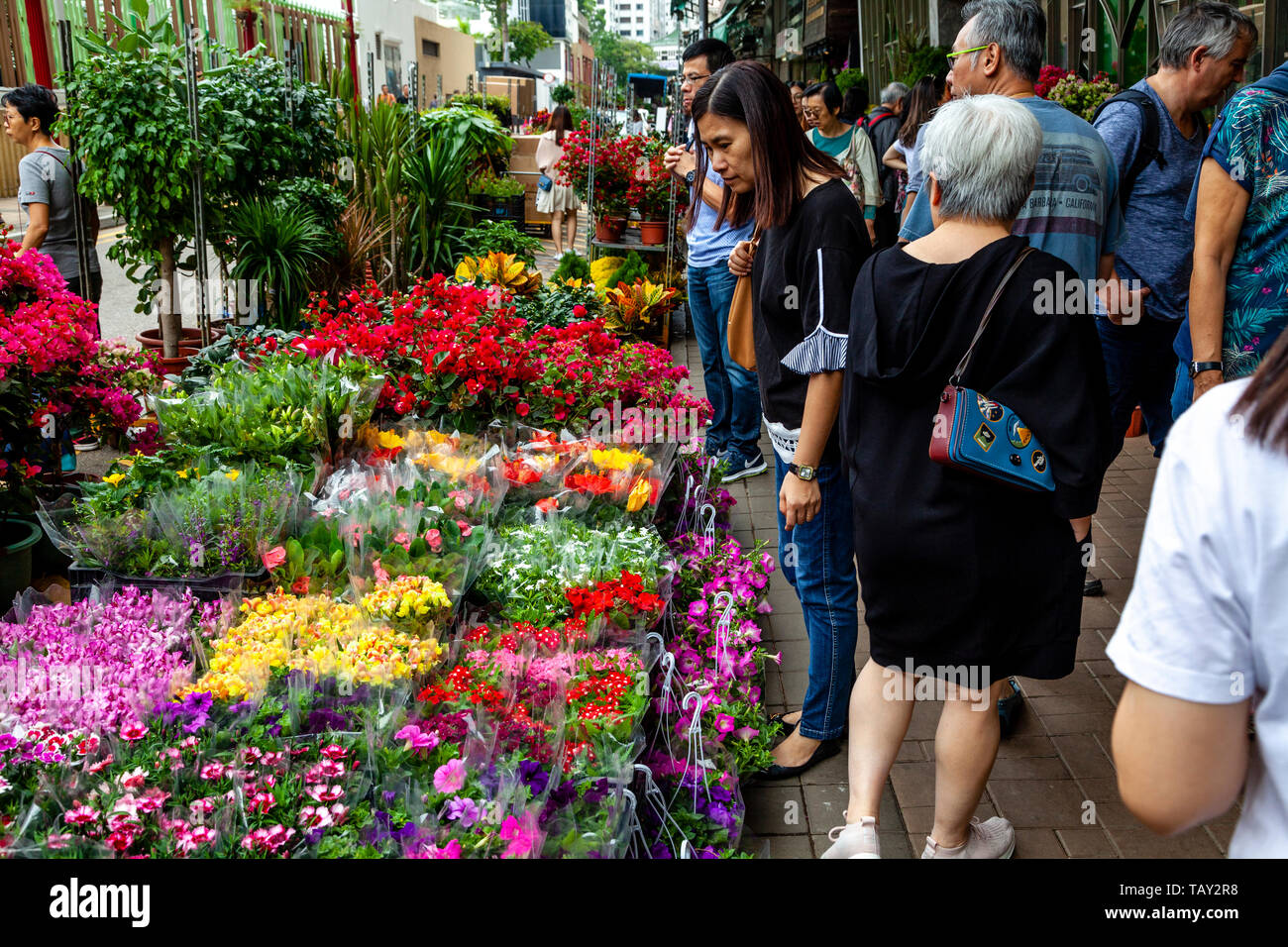 Local People Shopping At The Flower Market, Hong Kong, China Stock