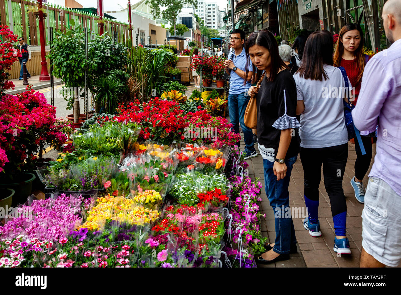 Local People Shopping At The Flower Market, Hong Kong, China Stock