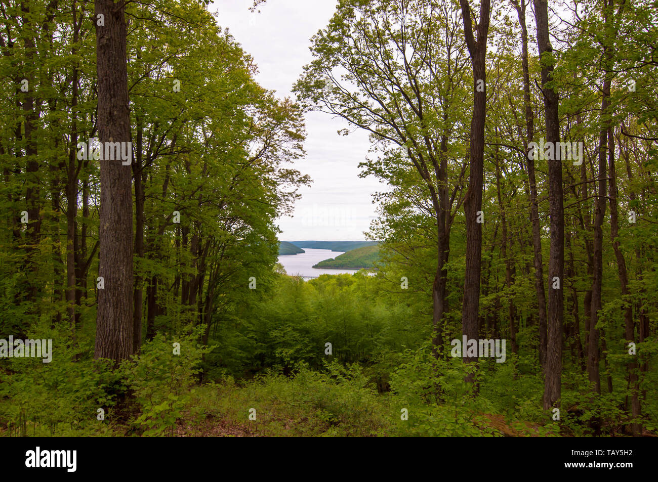 The Allegheny Reservoir in the distance seen through a break in the