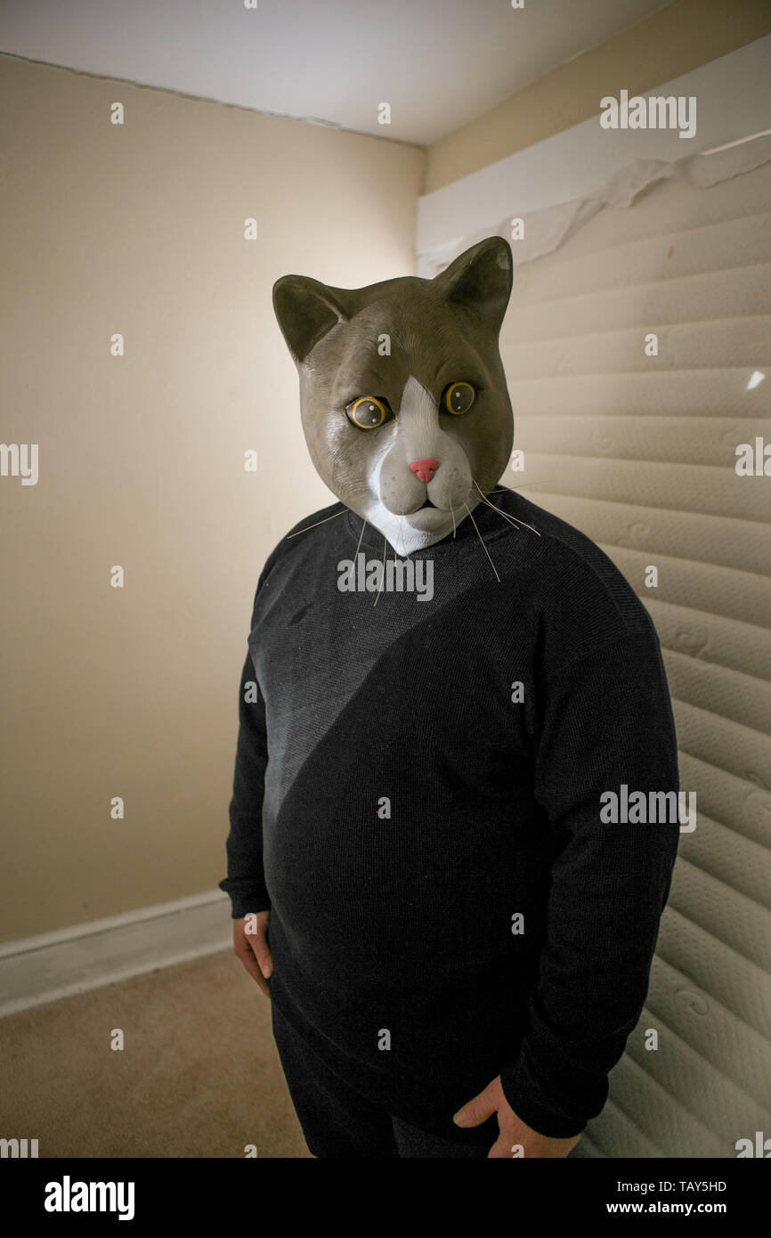 man wearing a mask of a cat standing in a bed room in front of a mattress  leaning against a window Stock Photo - Alamy