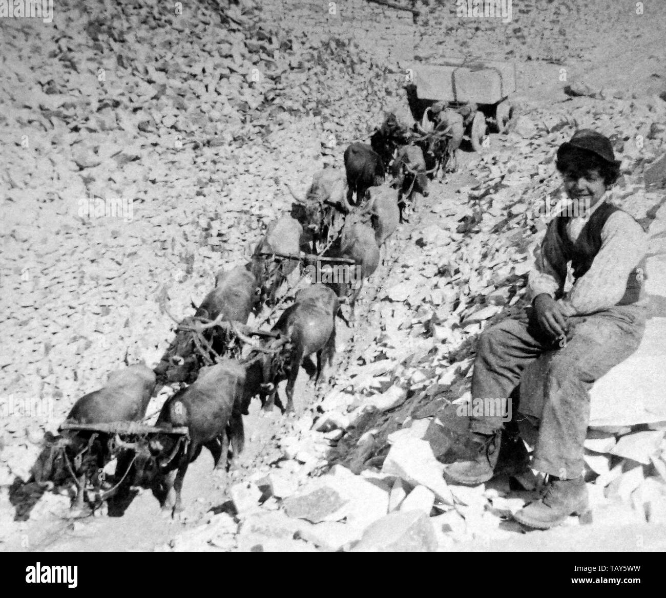 Carrara Marble Quarry, Italy Stock Photo Alamy