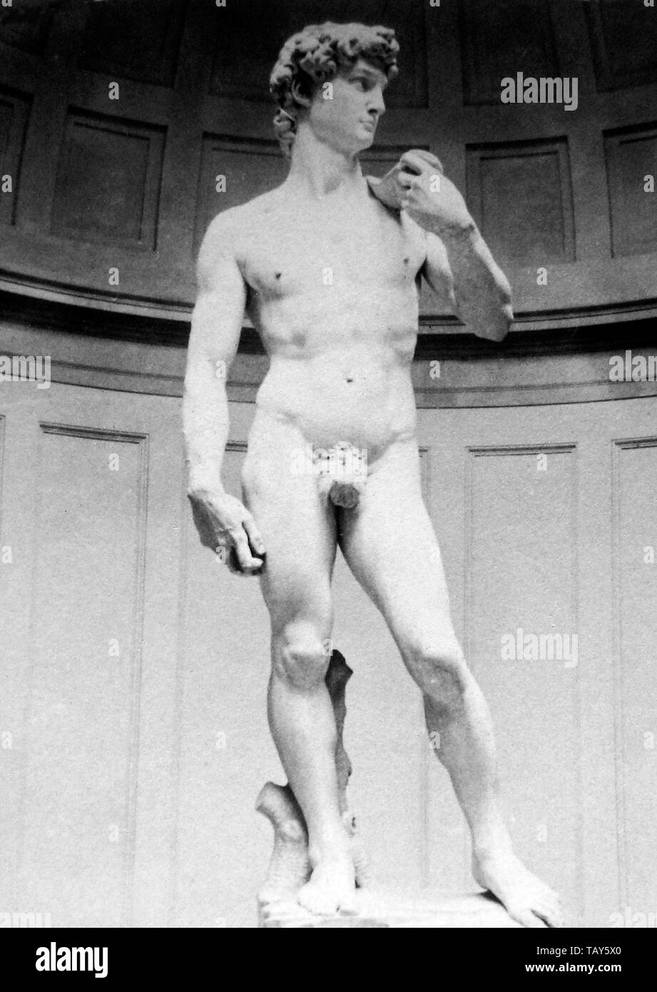 statue of david swim briefs