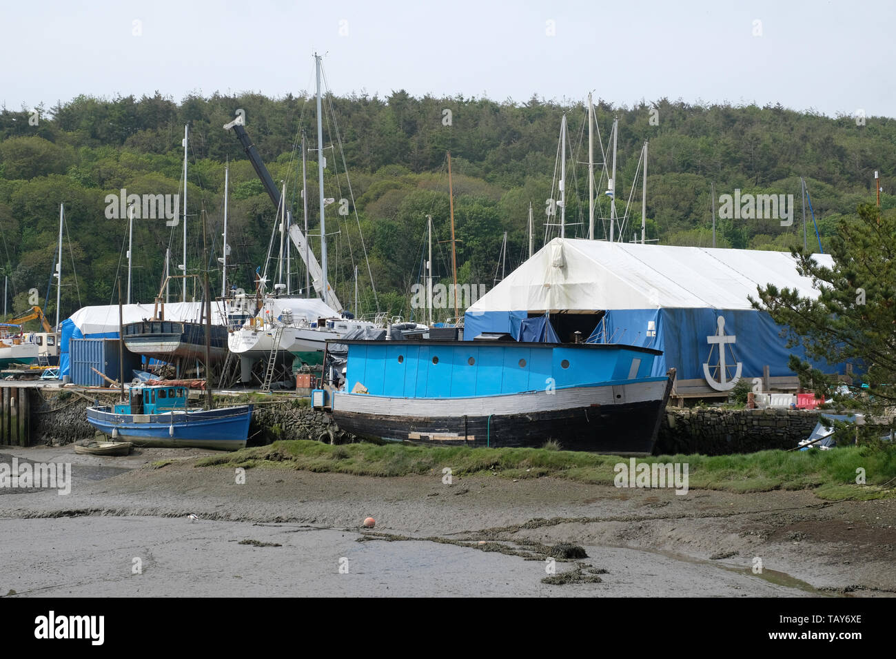 The creek at Gweek on the Helford River at low tide Stock Photo