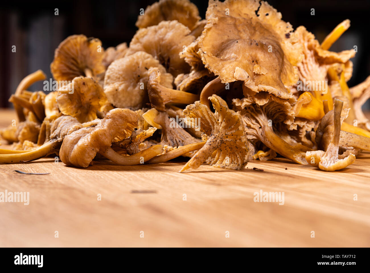 Fresh Chanterelle mushrooms ready for preperation Stock Photo