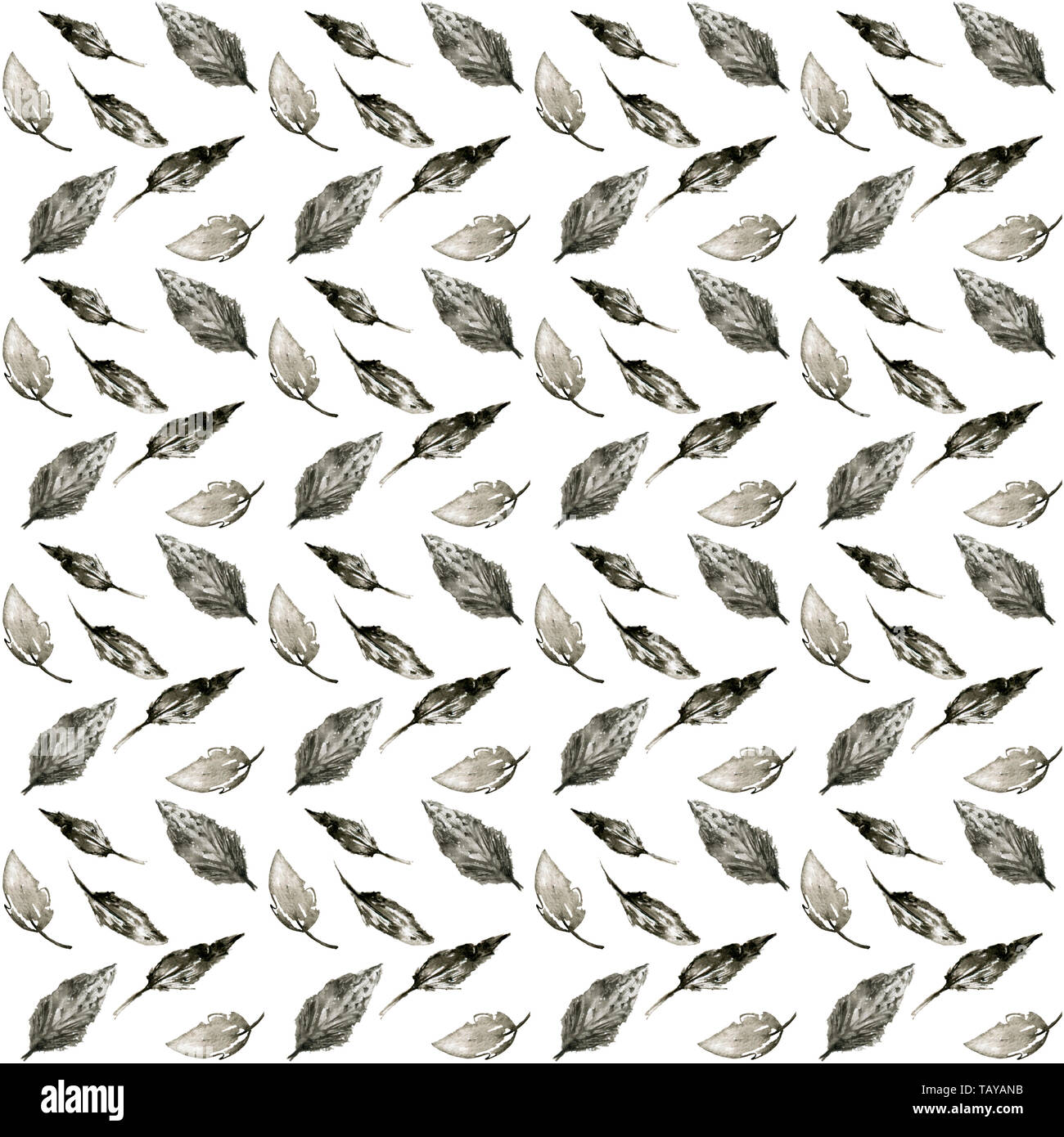 seamless pattern with hand drawn feathers on white background Stock ...