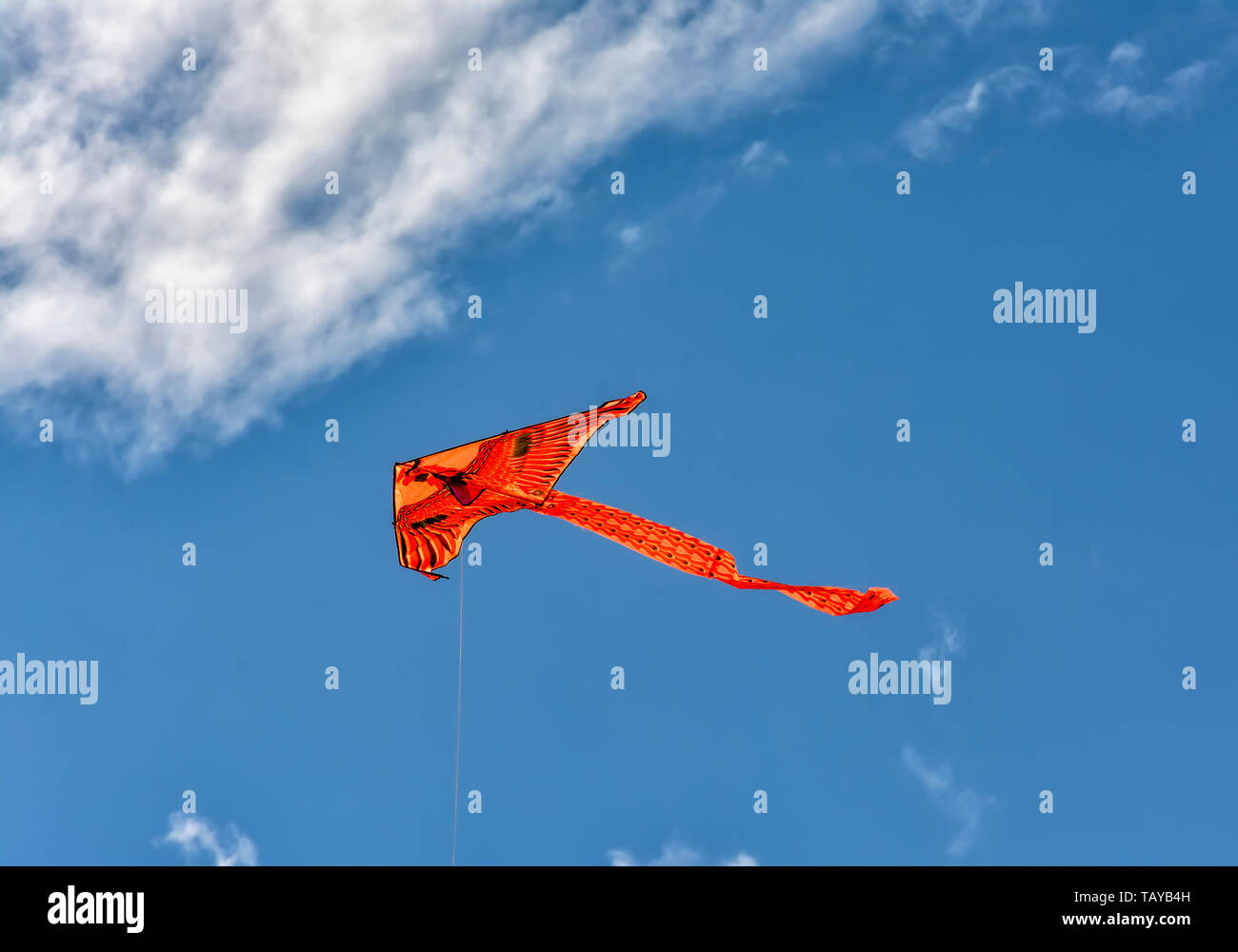 Kite, aircraft, held from the ground with the help of a rail and raised