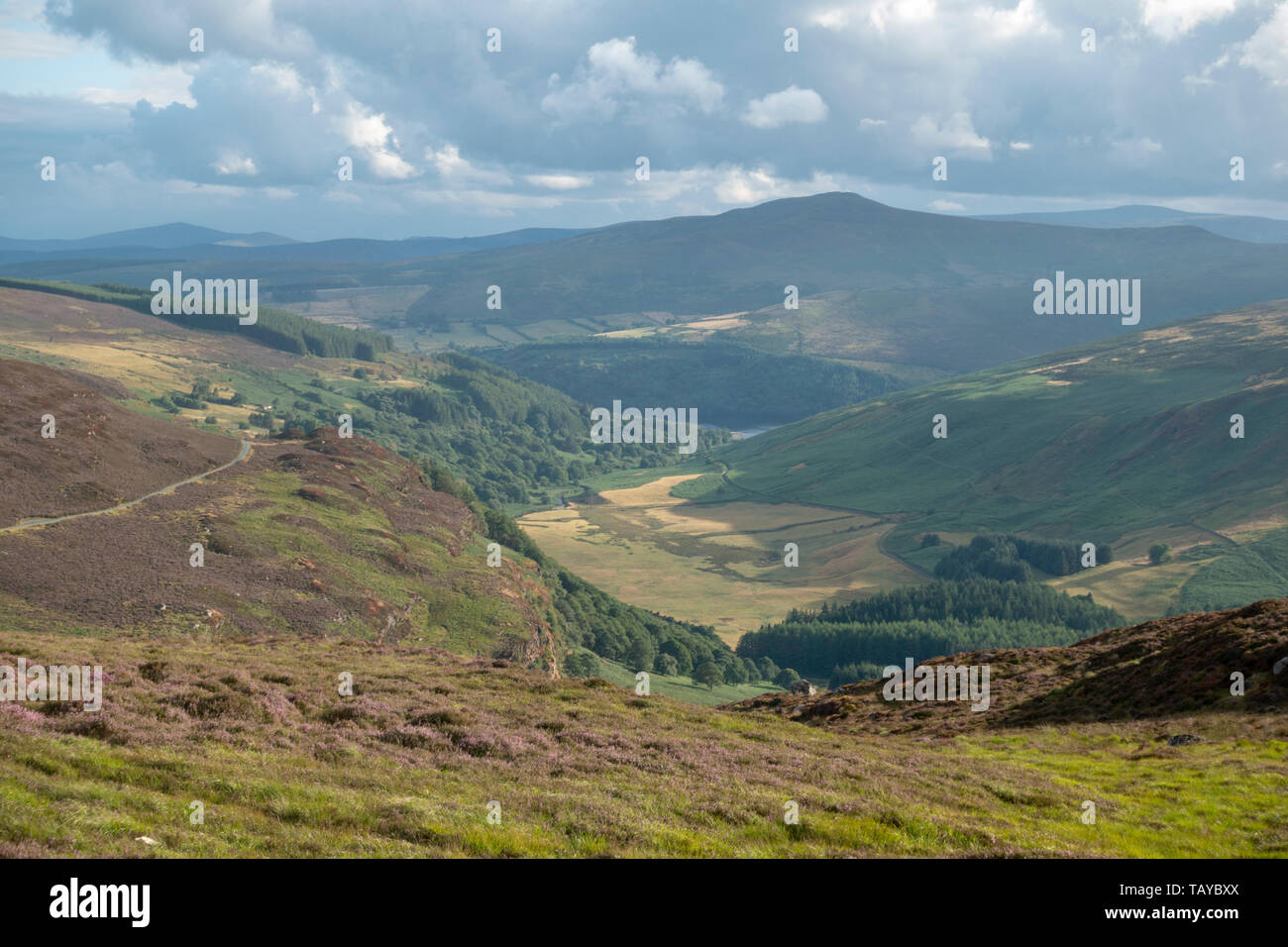 View down Lough Tay (The Guinness Lake) valley in the Wicklow Mountains National Park, Co. Wicklow, Eire. Stock Photo