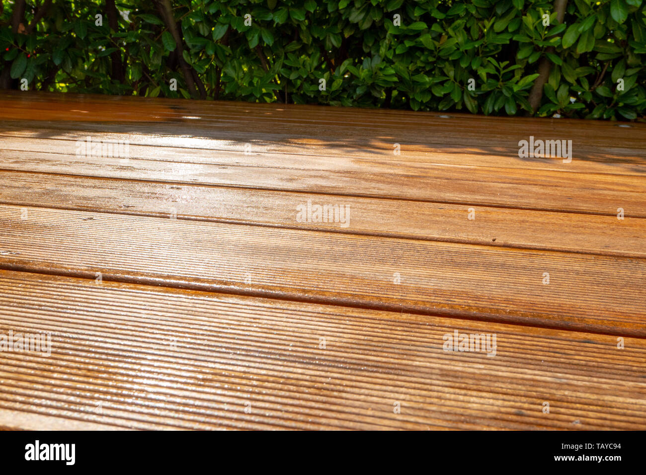 freshly painted with glaze embedded wooden terrace for weather protection Stock Photo