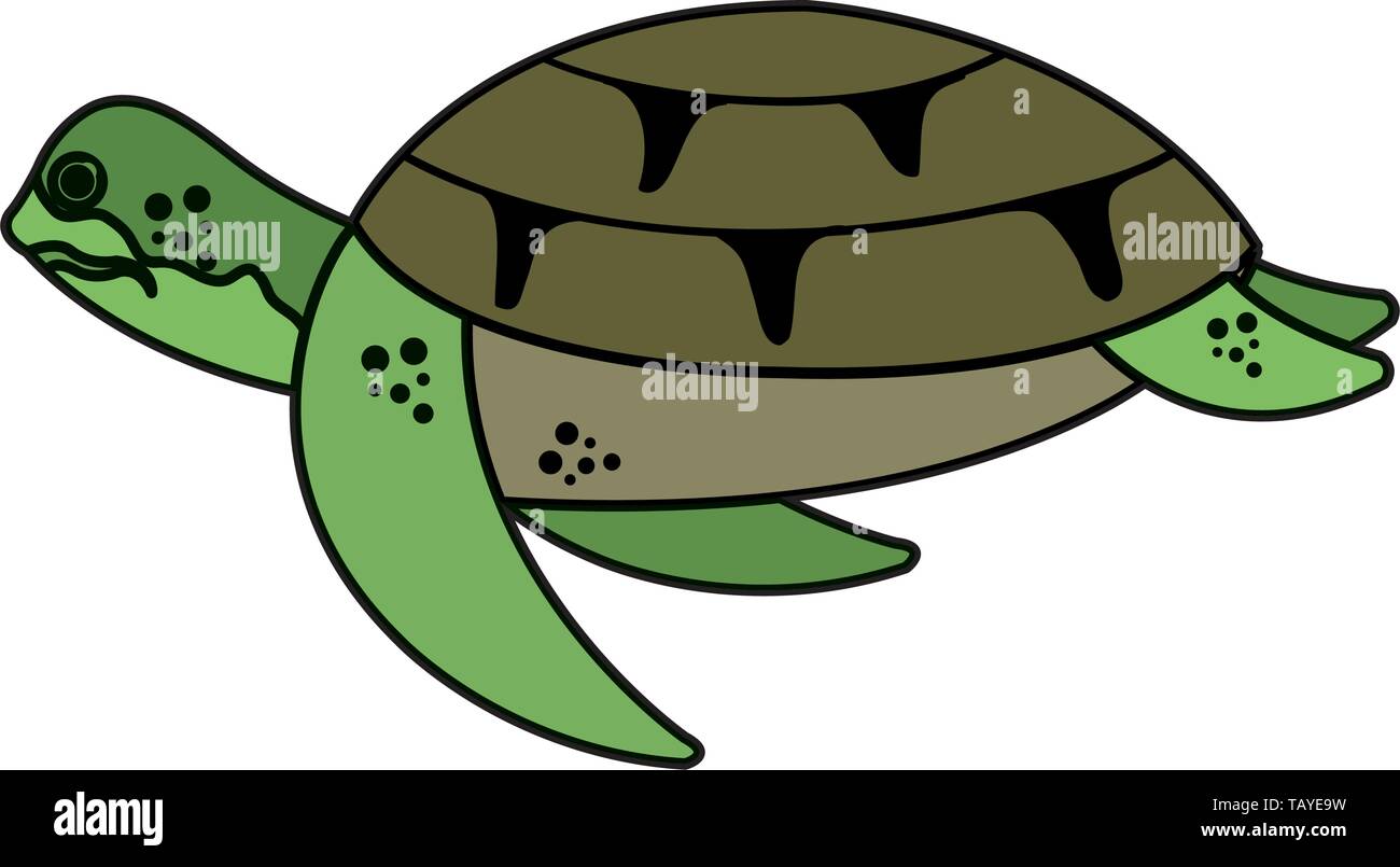 turtle animal nature icon vector illustration Stock Vector Image & Art ...