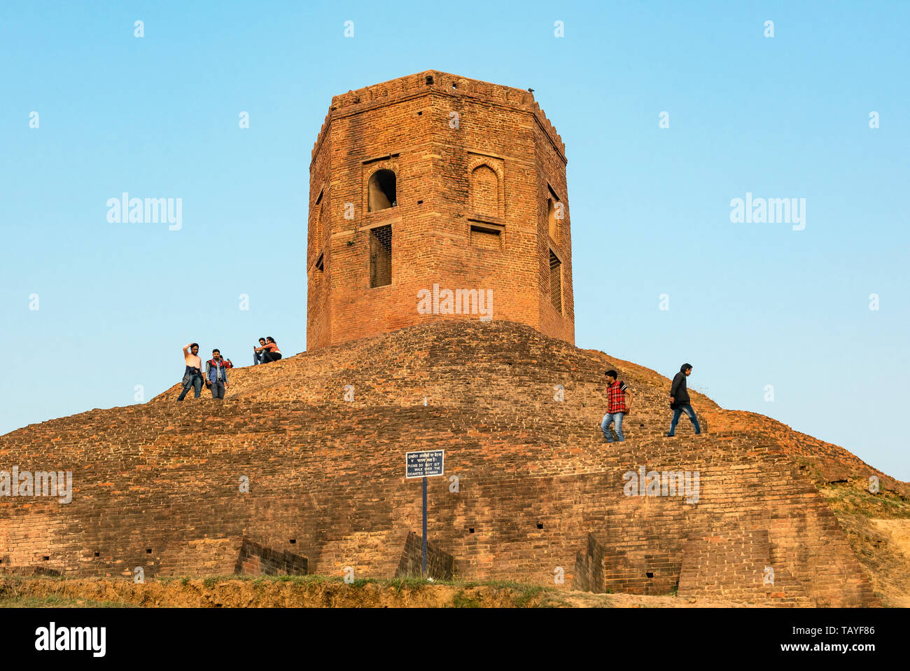Chaukhandi Stupa in Sarnath near Varanasi, India Stock Photo