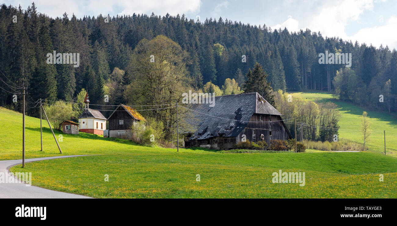 old Black Forest Farm near Hinterzarten, Germany Stock Photo