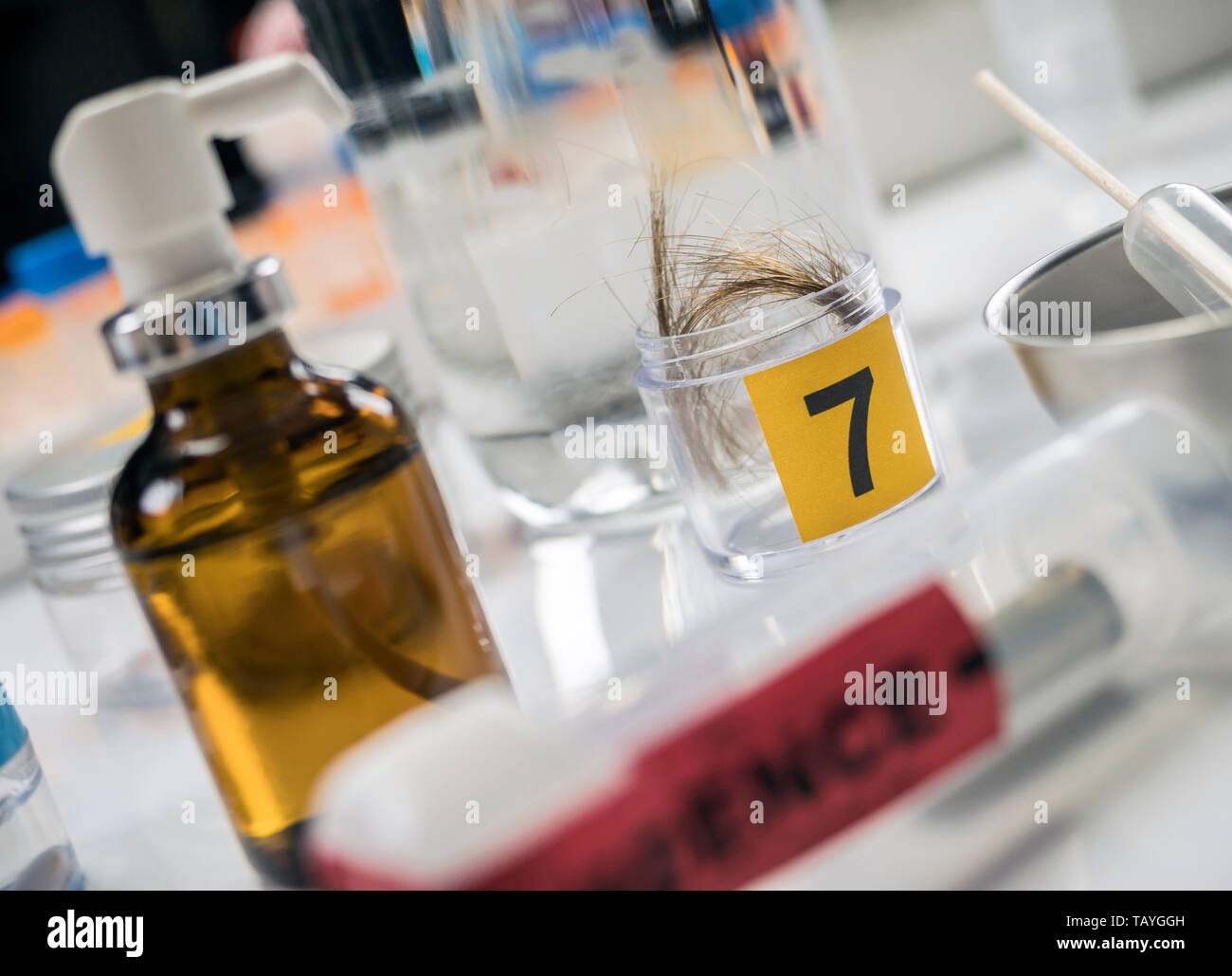 Hair sample forensic hi-res stock photography and images - Alamy