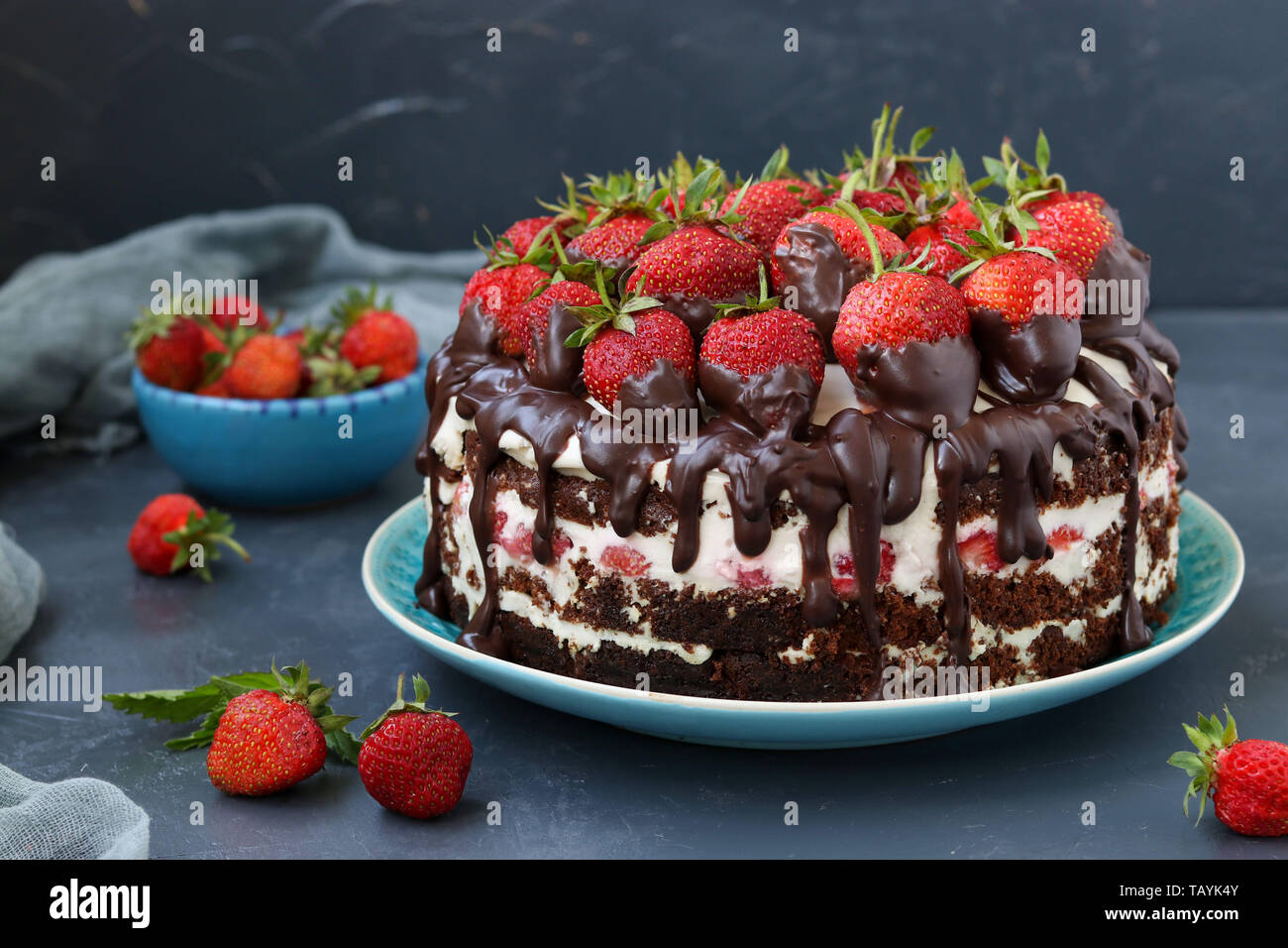 Chocolate cake with strawberries and cream located on a dark background ...
