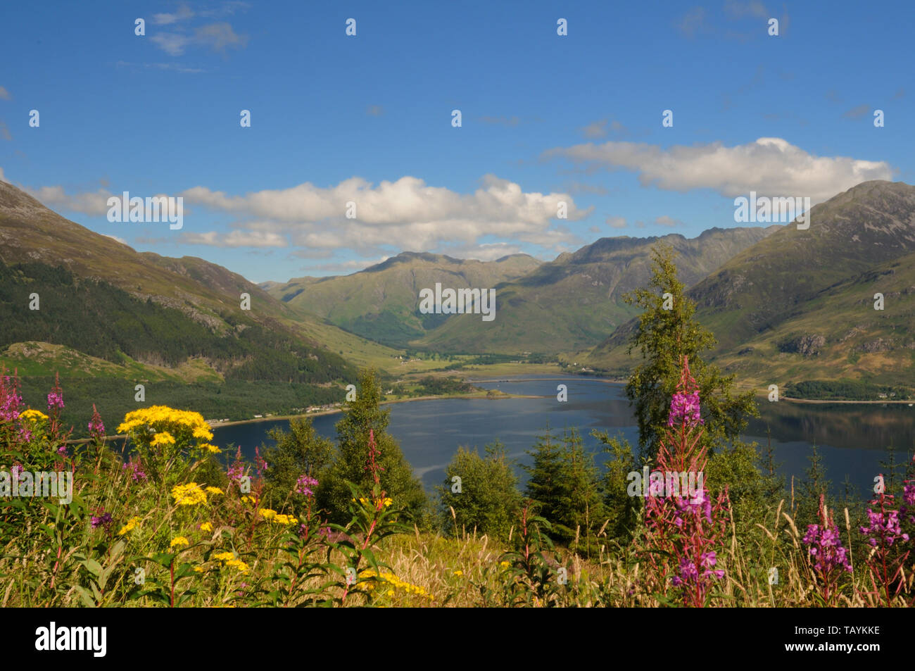 View of Loch Duich and the Five Sisters of Kintail mountain range, Ross and Cromarty, Scotland Stock Photo