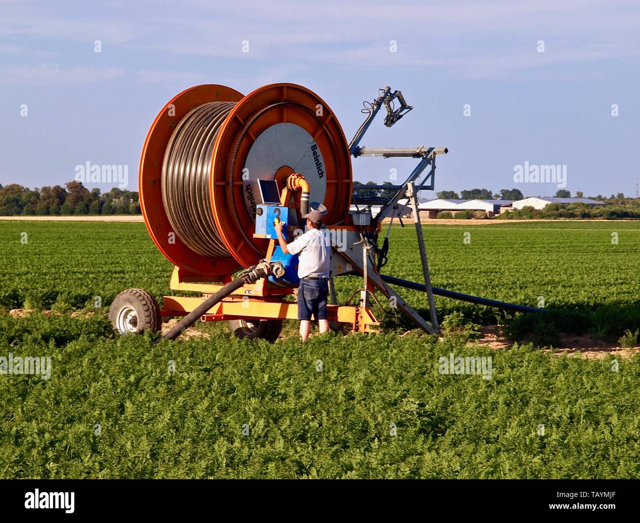 Irrigation Hose Reel: Over 458 Royalty-Free Licensable Stock Illustrations  & Drawings