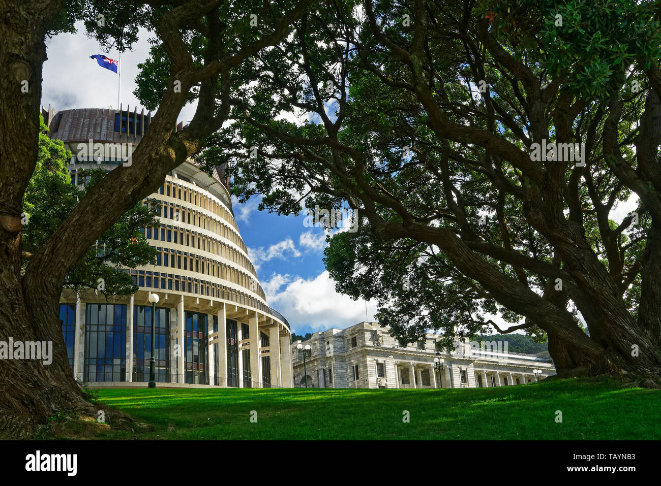 The Beehive - New Zealand parliament building with flag flying on a sunny day viewed through trees Stock Photo