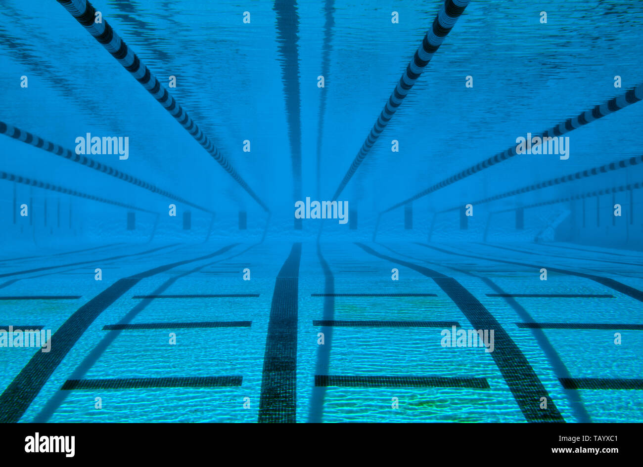 Empty swimming pool with lane markers. Stock Photo