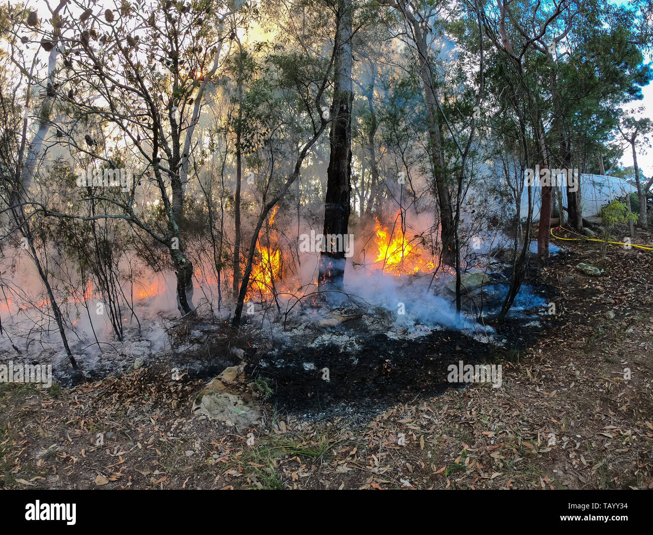 Back Burning High Resolution Stock Photography and Images Alamy