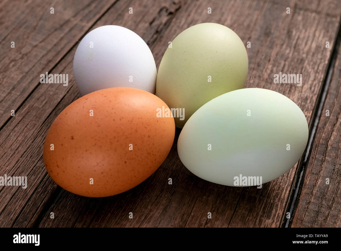 Fresh eggs of several chicken breeds Stock Photo