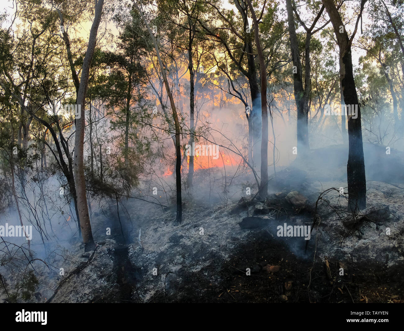 Back Burning High Resolution Stock Photography and Images Alamy