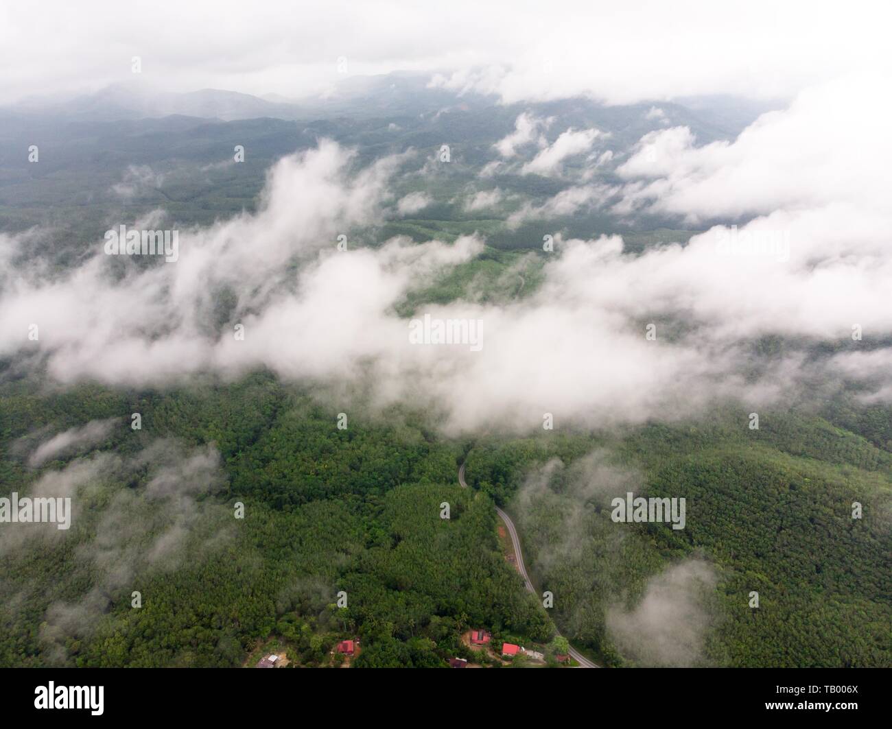 Beautiful fly over forest valley hi-res stock photography and images ...