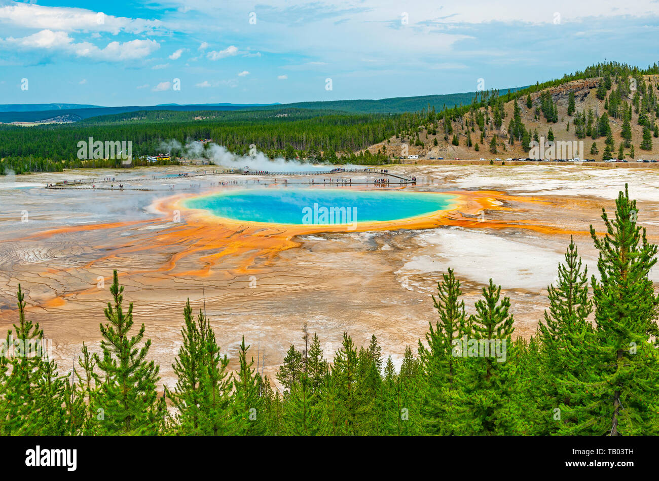 Landscape of the Grand Prismatic Spring through a pine tree forest and distant silhouettes of tourists walking on the elevated walkway, Wyoming, USA. Stock Photo