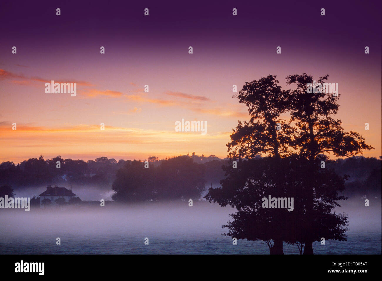 Sunrise over a rural view, misty fields with a farmhouse, glorious sky Stock Photo