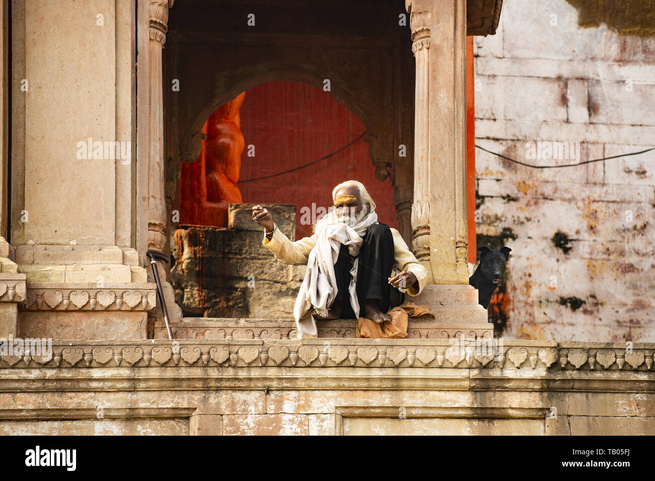 A Sadhu with a long white beard and his dog are sitting on a Ghat in Varanasi. Sadhu is an ascetic or someone who practice yoga Stock Photo