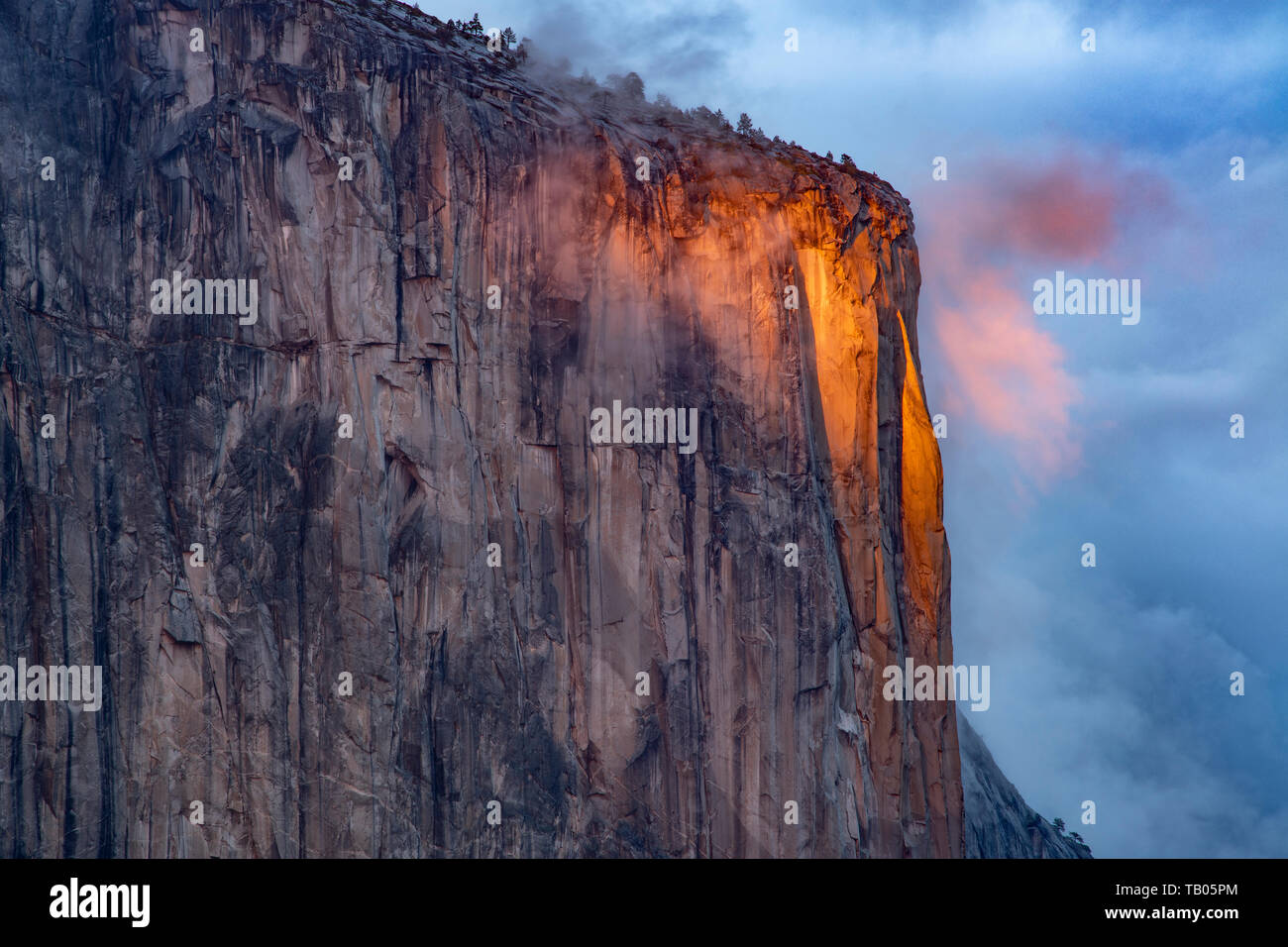 El Capitan; evening; sunset; Yosemite National Park; California; USA; by Bill Lea/Dembinsky Photo Assoc Stock Photo