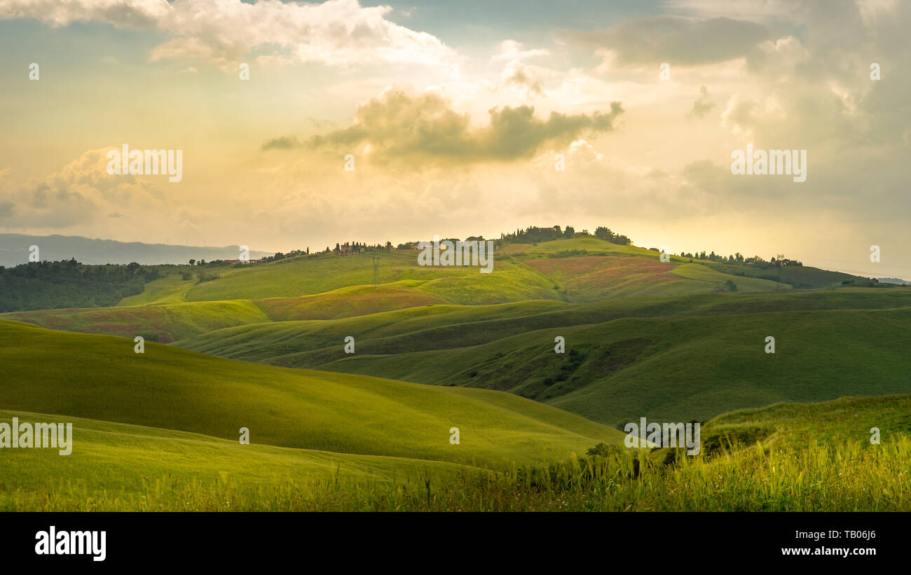 Rolling hills in Tuscany on a sunny day with dramatic clouds Stock Photo -  Alamy