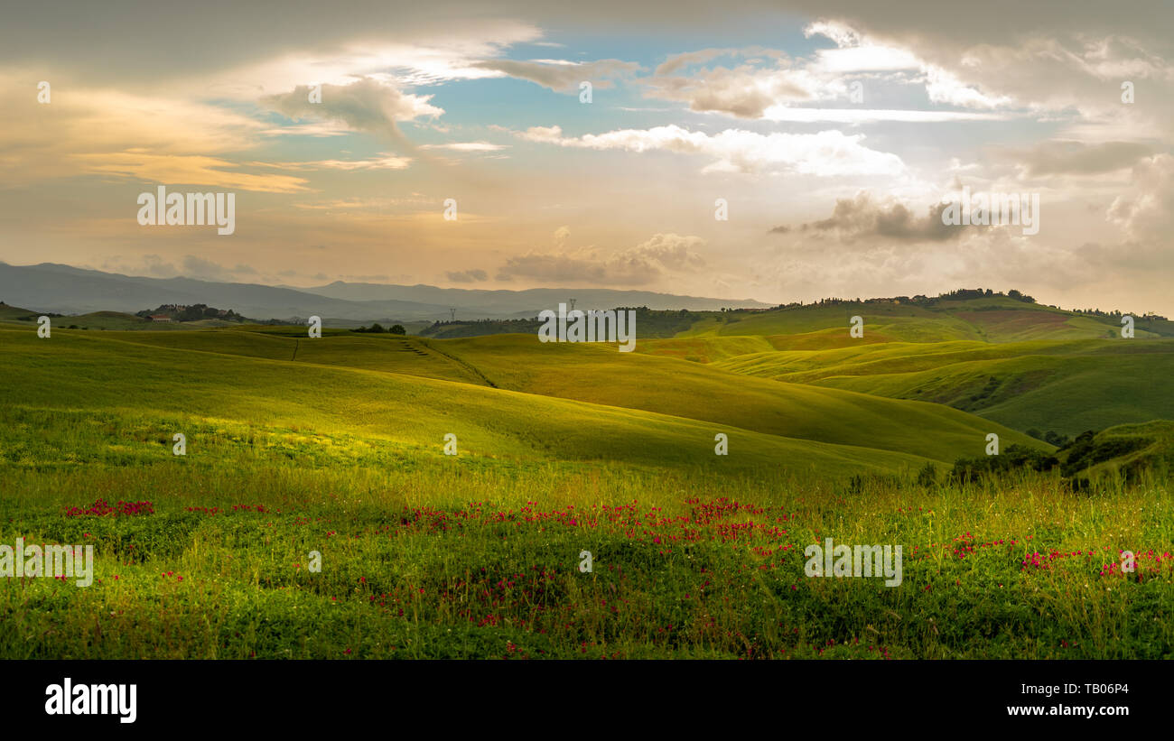 Rolling hills in Tuscany on a sunny day with dramatic clouds Stock Photo -  Alamy