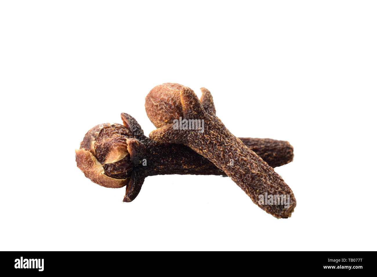 clove isolated on white background Stock Photo