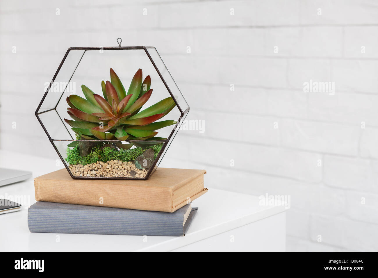 Florarium and books on table at white background Stock Photo