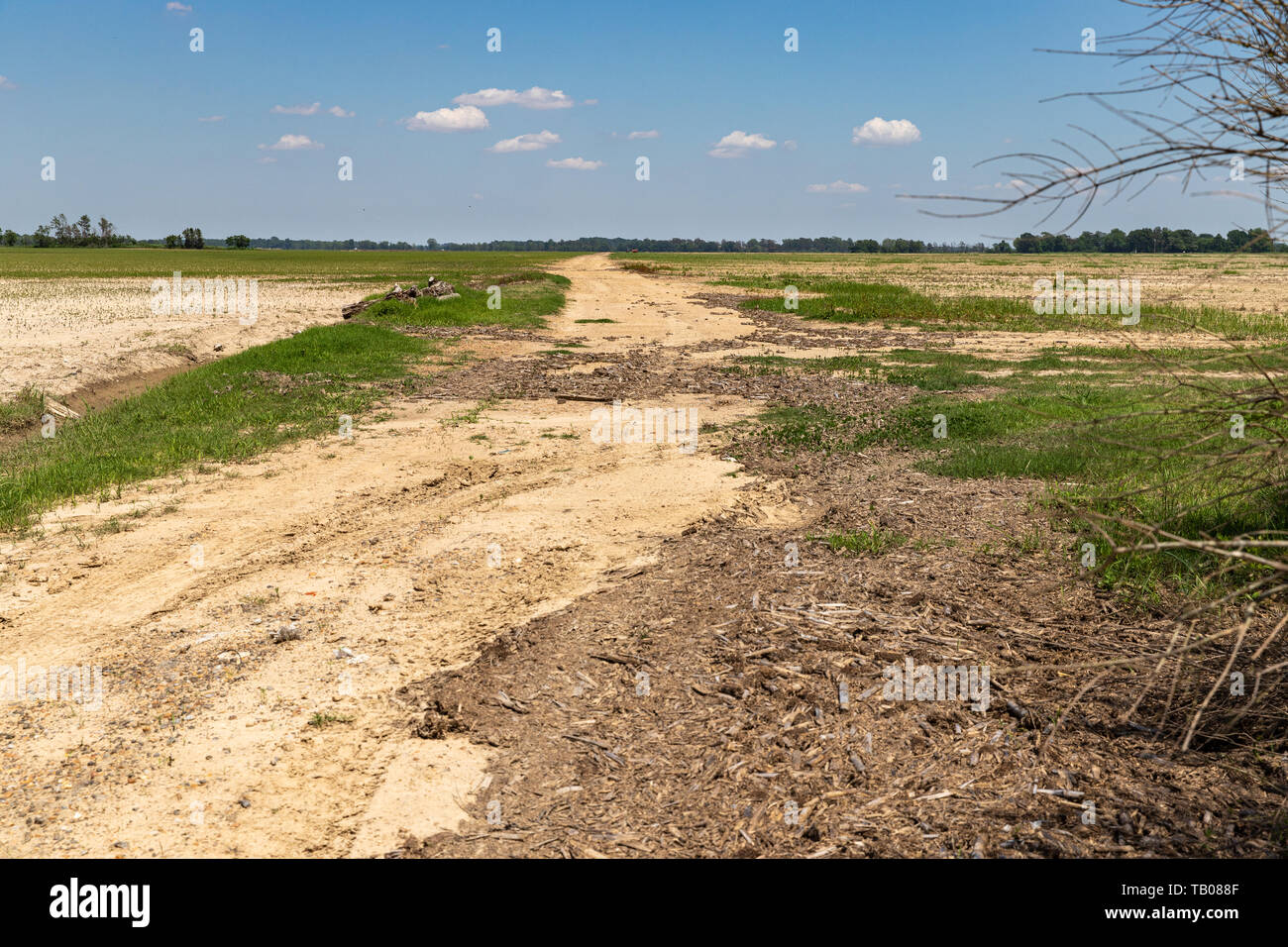 Dirt road and farmland in the Mississippi Delta Stock Photo Alamy