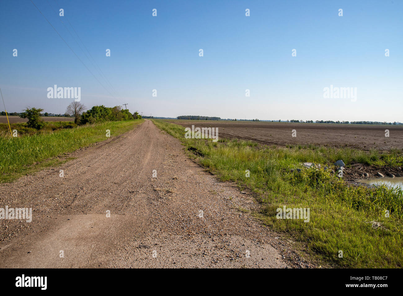 Mississippi Delta farmland, grass, and dirt road in the morning sun Stock Photo Alamy