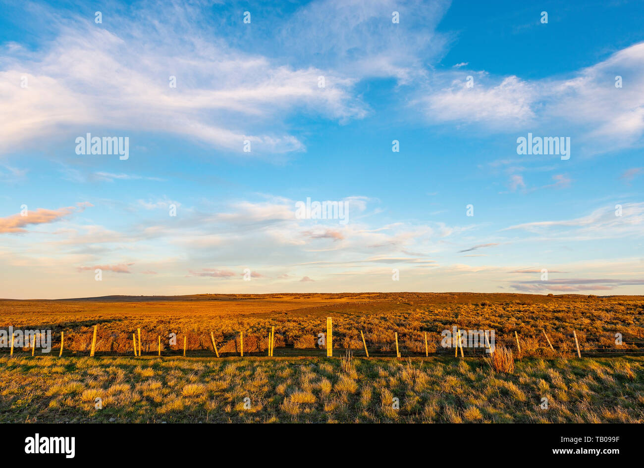 Steppe landscape in Patagonia at sunset between Punta Arenas and Puerto Natales, Chile. This landscape is generic for southern Chile and Argentina. Stock Photo