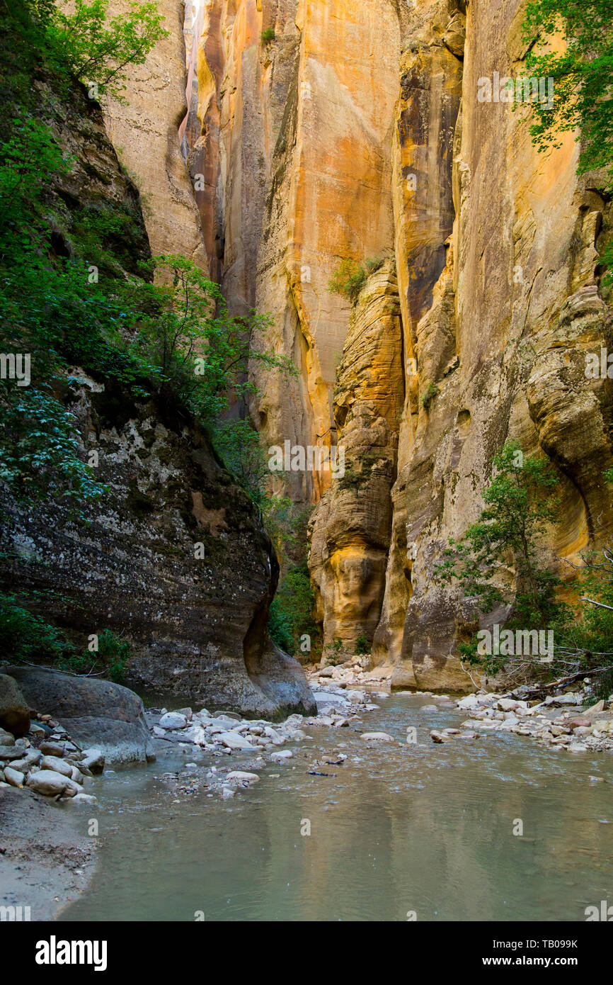 Creek water hiking trail in slot canyon in The Narrows, Zion National Park, Utah. Stock Photo