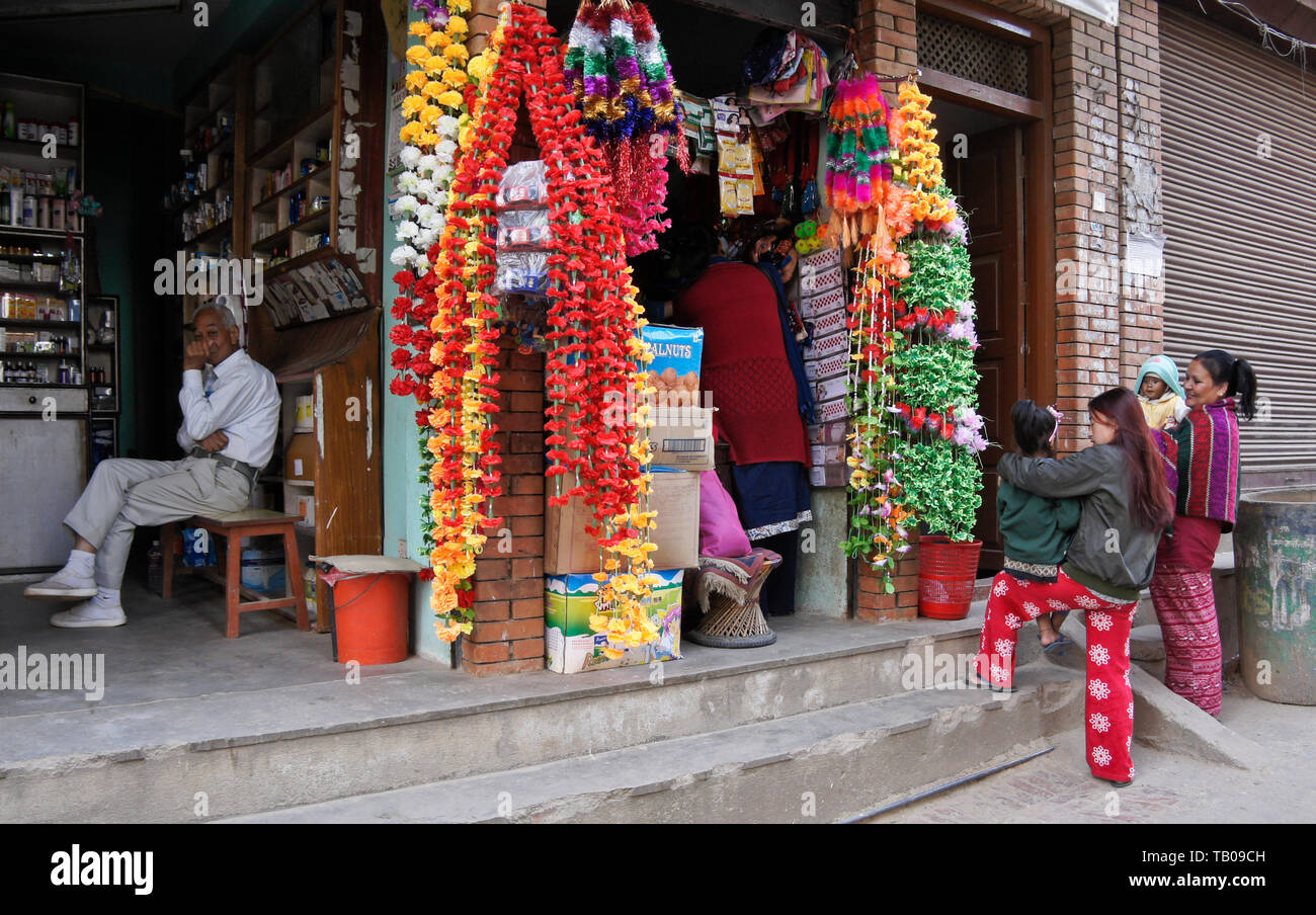 Flowers of nepal hires stock photography and images Alamy