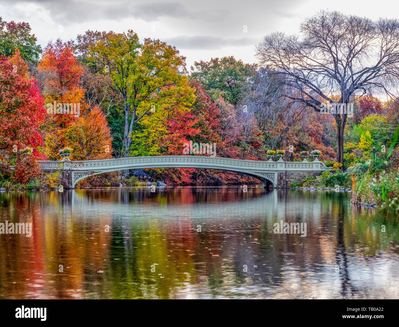 Bow Bridge in New York City, Central Park Manhattan in late autumn ...
