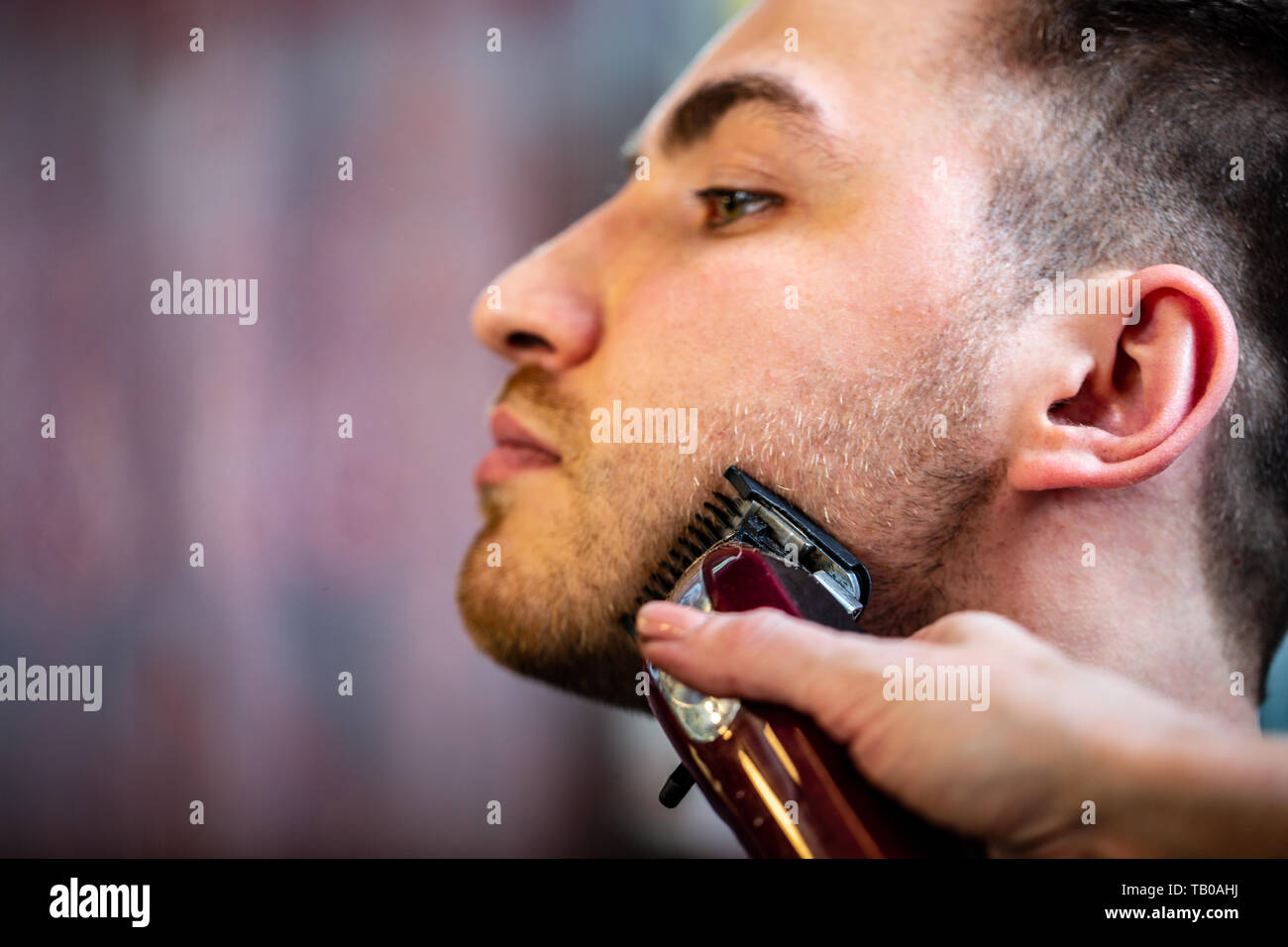 Barber Make Beard Haircut With Trimmer Hair Clipper In Barbershop