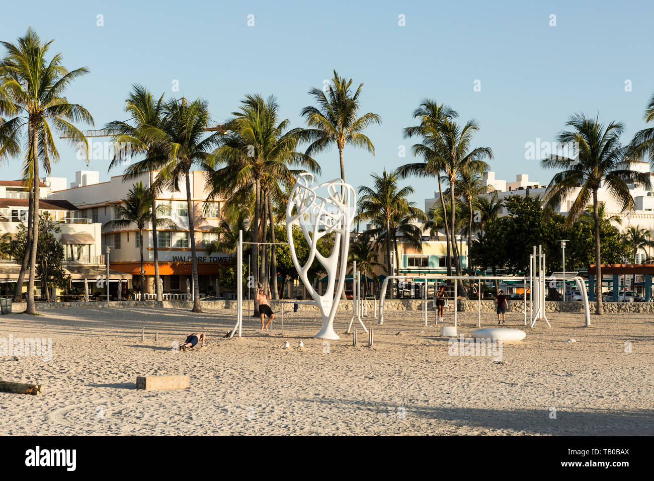 Muscle beach florida hires stock photography and images Alamy