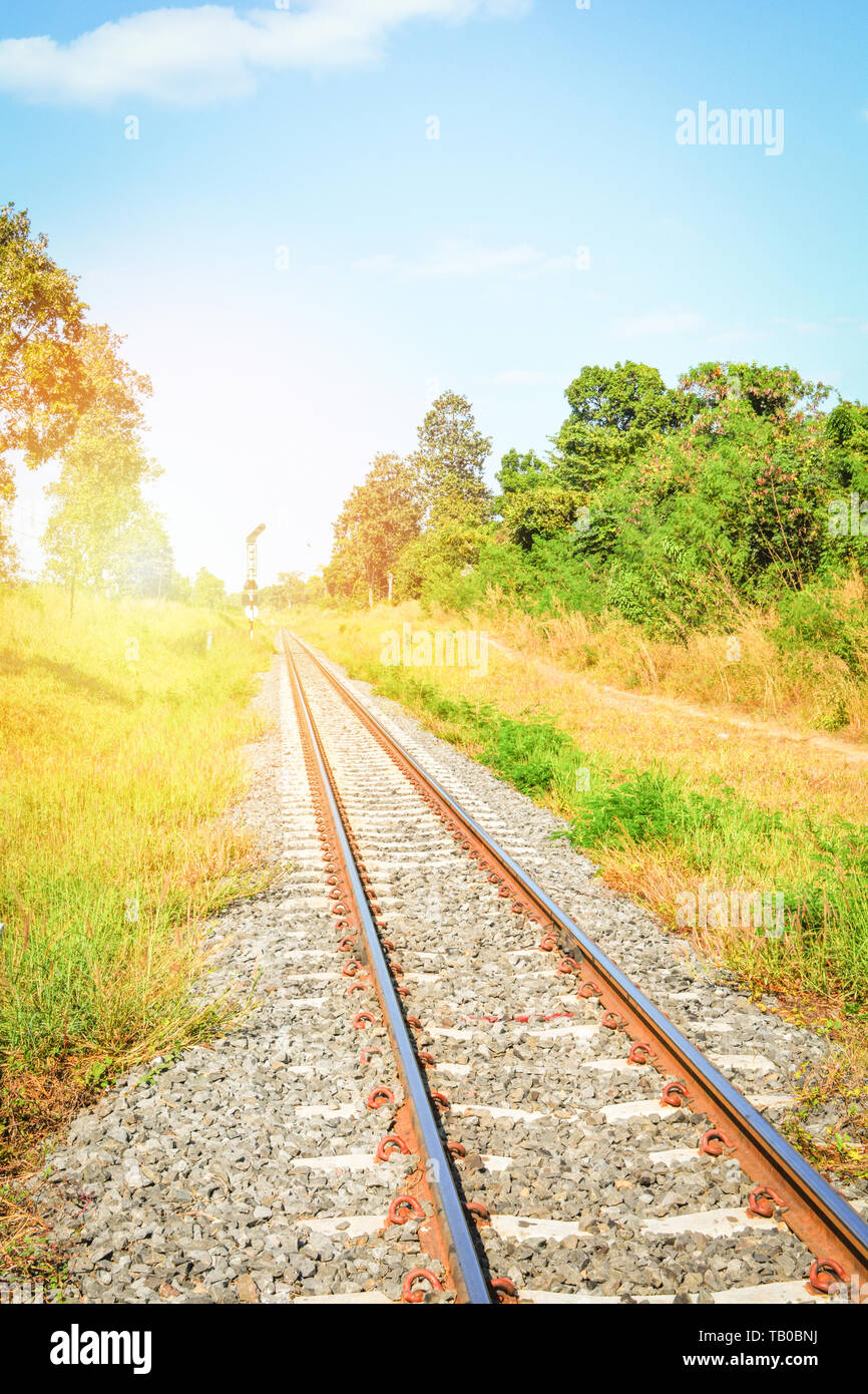 Railway railroad tracks steel for trains in countryside on nature
