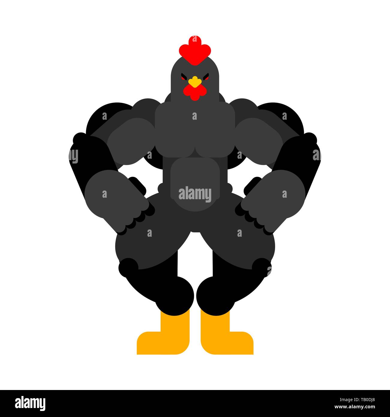 Strong black rooster. Powerful bantam. spring chicken bodybuilder. hard ...