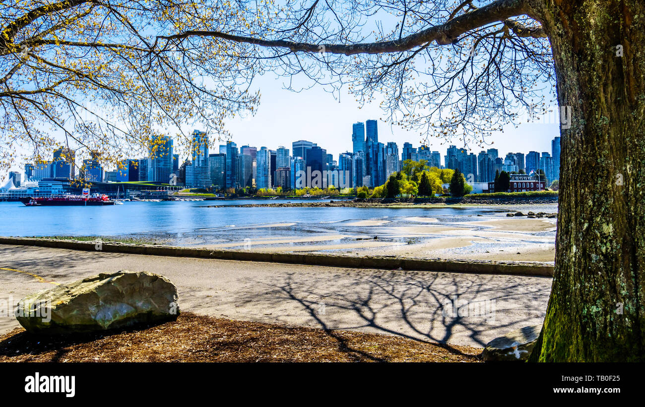 View of the Vancouver Skyline and Harbor. Viewed from the Stanley Park ...