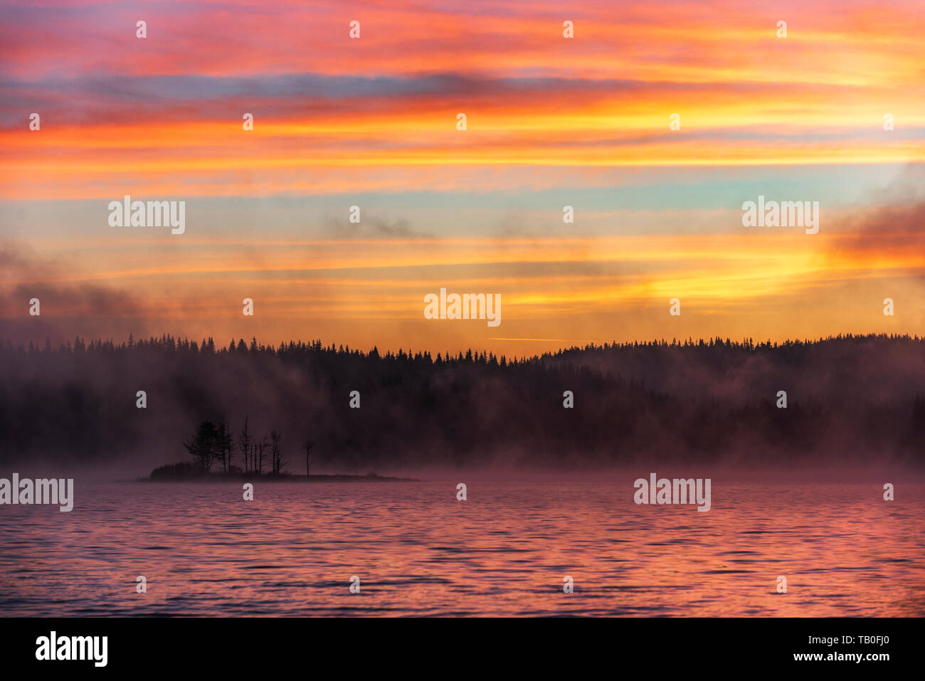 Spectacular sunrise shines orange glow over Britain in these breathtaking  snaps