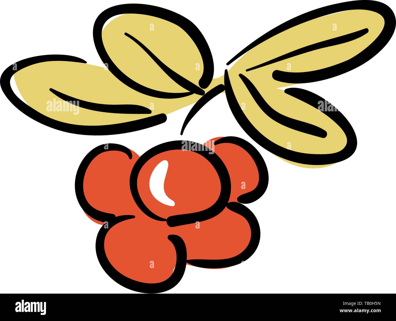 berries on tree branch with leaves isolated on a white background. sketch style. Camping. Ink Pen Stock Vector