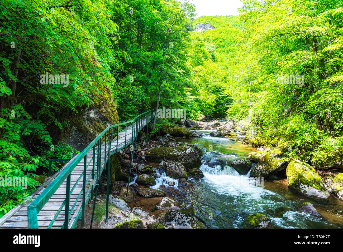 Amazing view of Devin river valley, Western Rhodope Mountains, Bulgaria Stock Photo