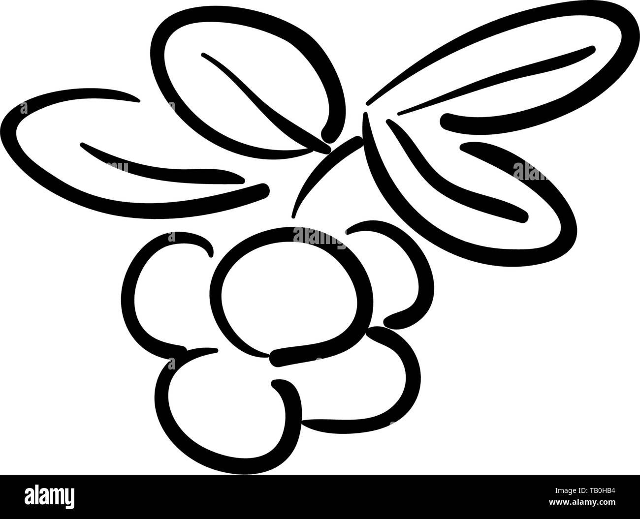 berries on tree branch with leaves isolated on a white background. sketch style. Camping. Ink Pen Stock Vector