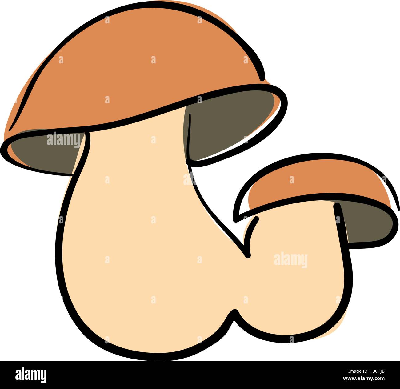 Cute penny bun mushroom is growing in the grass. The beautiful small brown cap of a cep is in the focus. It is vegetarian diet food. Stock Vector