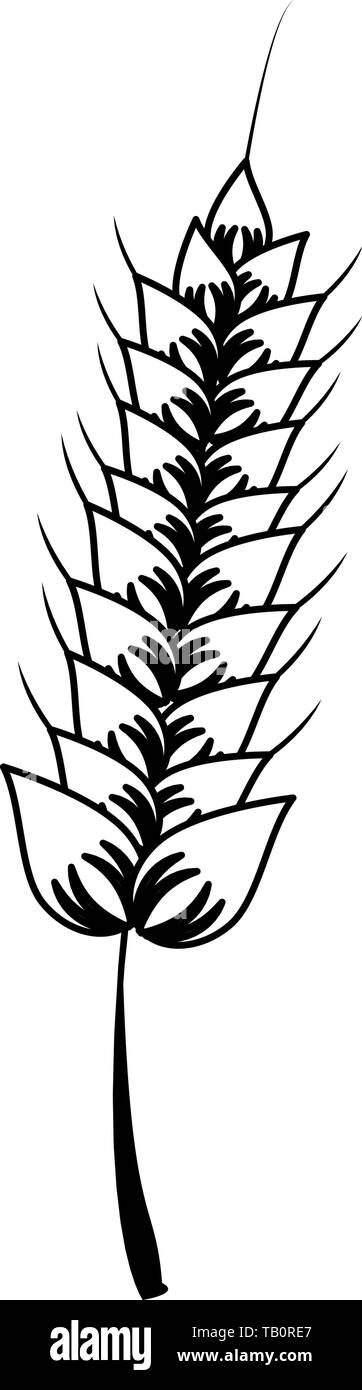 wheat vegetable healthy food cartoon in black and white Stock Vector ...